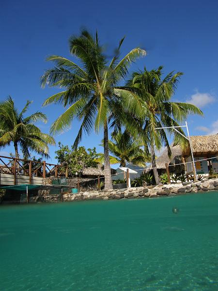Moorea_082009 3.jpg